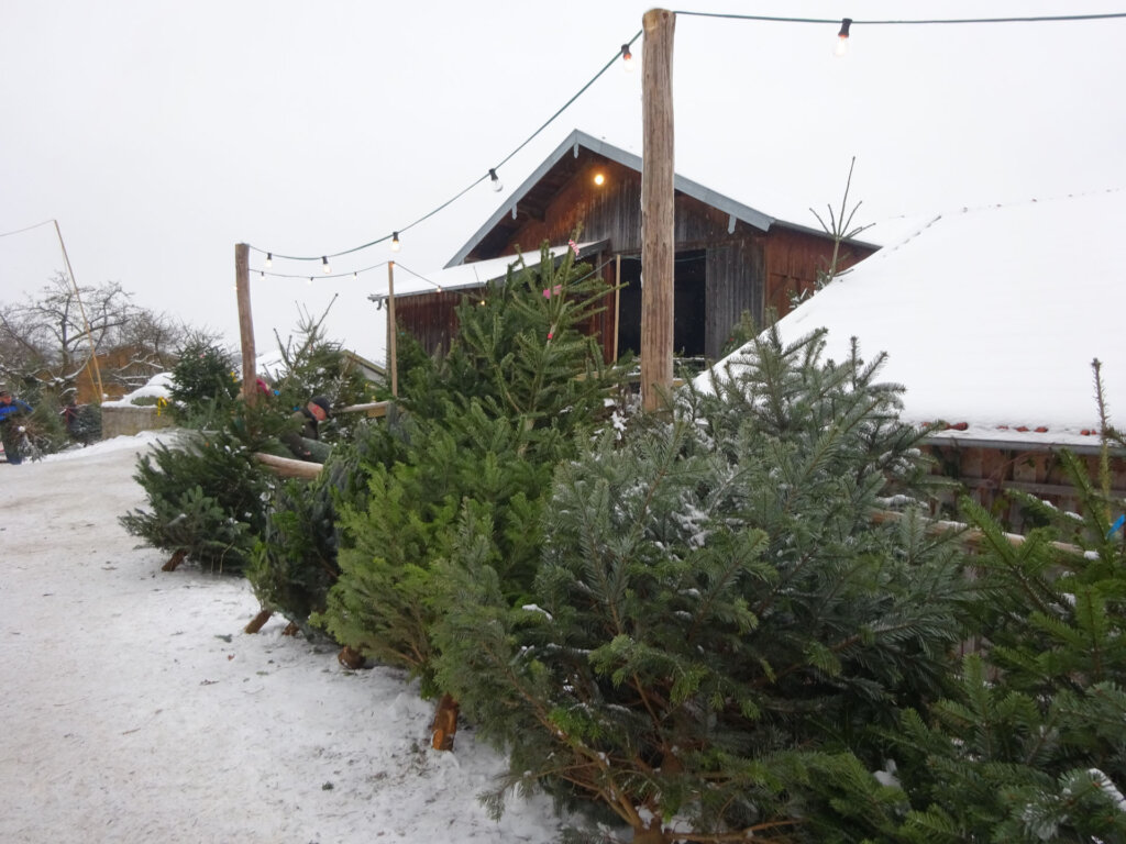Ober-Home-288